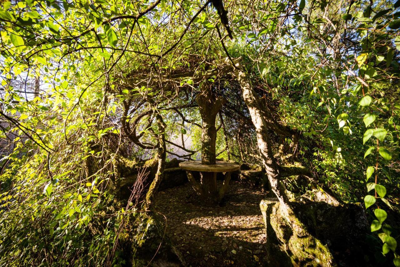 The Grove Houses Hotel Guimaraes Exterior photo